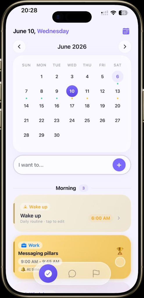 Planika daily plan calendar